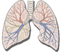 慢阻肺急性加重有什么症状 该如何预防